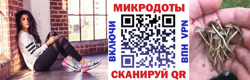 Галлюциногенные грибы GOLDEN TEACHER  Курлово 